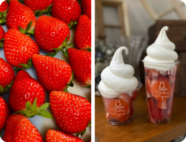 化学農薬不使用【あいのかたち】いちごパック/おちびとのっぽ